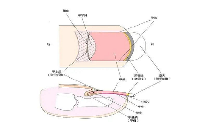 美甲去死皮的方法，你知道几个